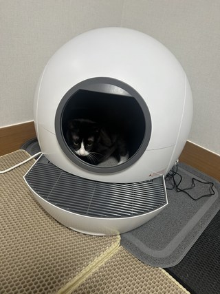 갤러리 이미지