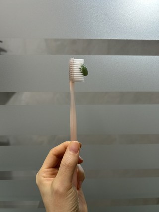 갤러리 이미지