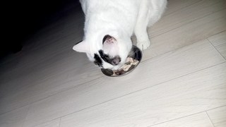 갤러리 이미지