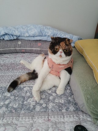 갤러리 이미지