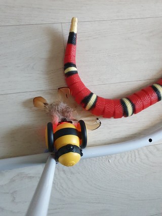 갤러리 이미지