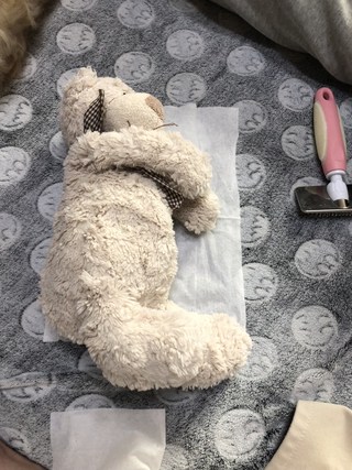 갤러리 이미지