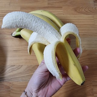 갤러리 이미지
