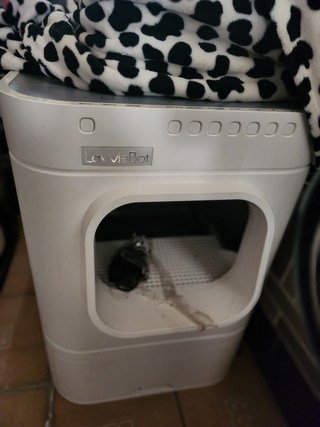 갤러리 이미지