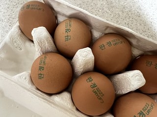 갤러리 이미지