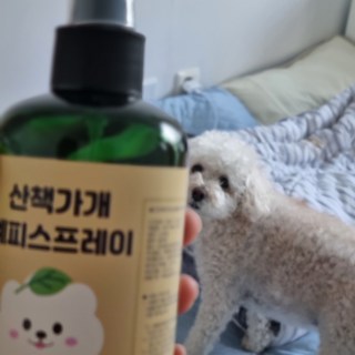 갤러리 이미지