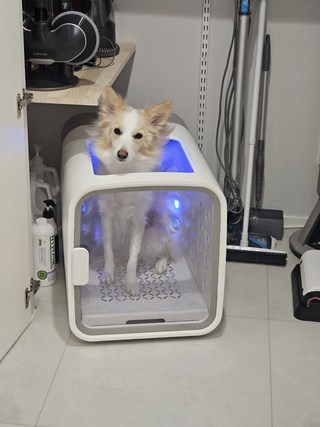 갤러리 이미지
