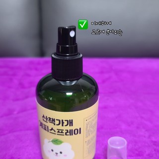 갤러리 이미지