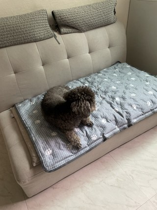 갤러리 이미지