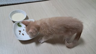 갤러리 이미지