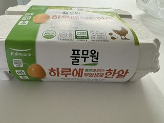 갤러리 이미지
