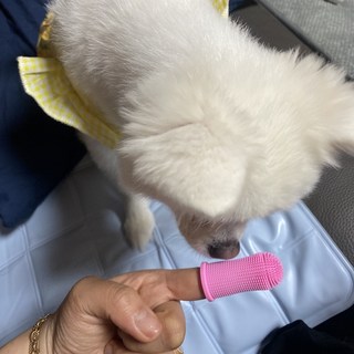 갤러리 이미지