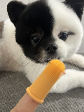갤러리 이미지