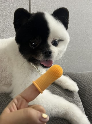 갤러리 이미지