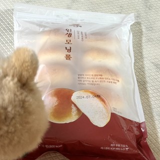 갤러리 이미지