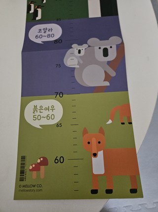 갤러리 이미지