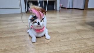 갤러리 이미지