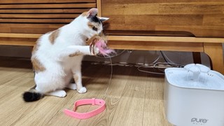 갤러리 이미지