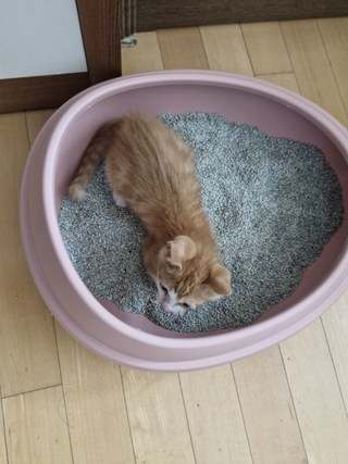 갤러리 이미지