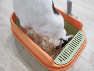갤러리 이미지