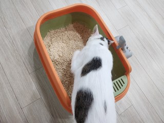 갤러리 이미지