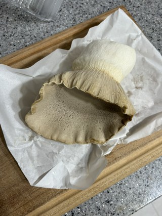 갤러리 이미지