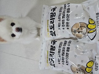 갤러리 이미지