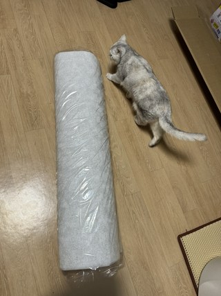 갤러리 이미지