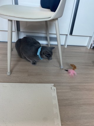 갤러리 이미지