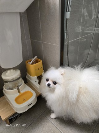 갤러리 이미지