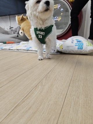 갤러리 이미지