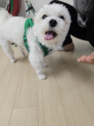 갤러리 이미지