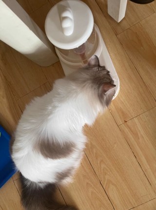 갤러리 이미지