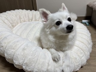 갤러리 이미지