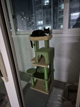 갤러리 이미지