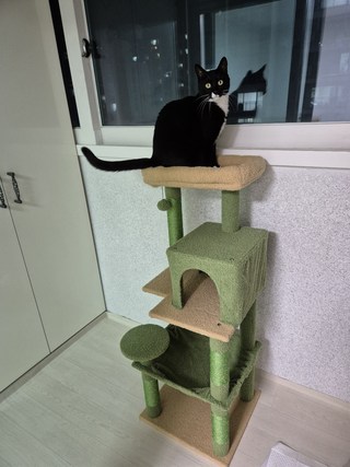 갤러리 이미지
