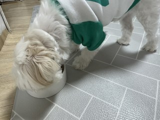 갤러리 이미지
