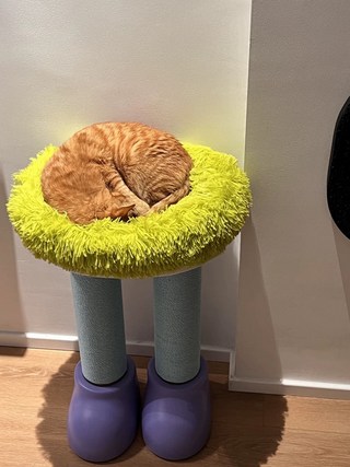 갤러리 이미지
