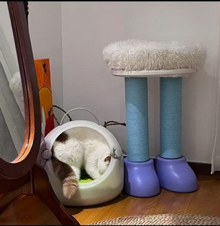갤러리 이미지