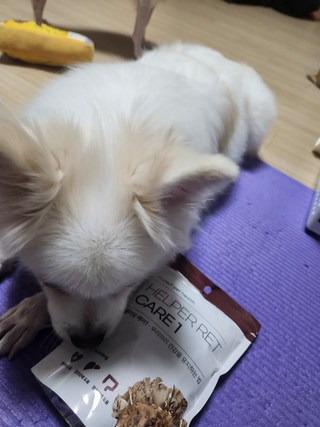 갤러리 이미지