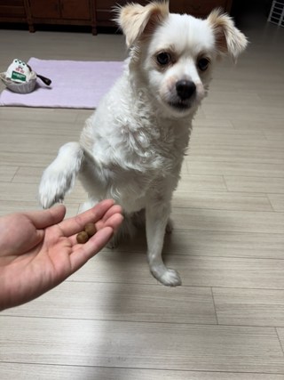 갤러리 이미지