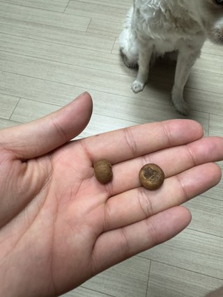갤러리 이미지