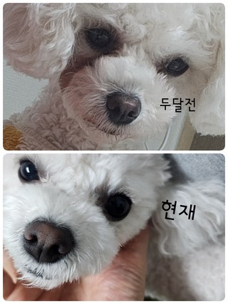 갤러리 이미지
