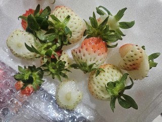 갤러리 이미지