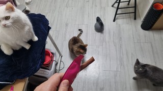 갤러리 이미지