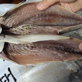 갤러리 이미지
