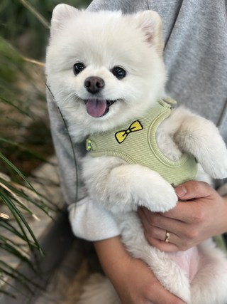 갤러리 이미지
