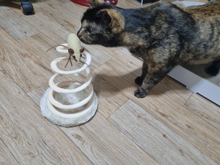 갤러리 이미지