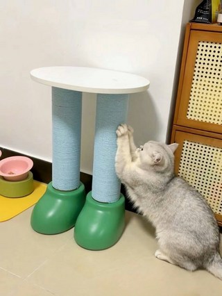 갤러리 이미지