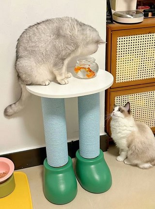 갤러리 이미지